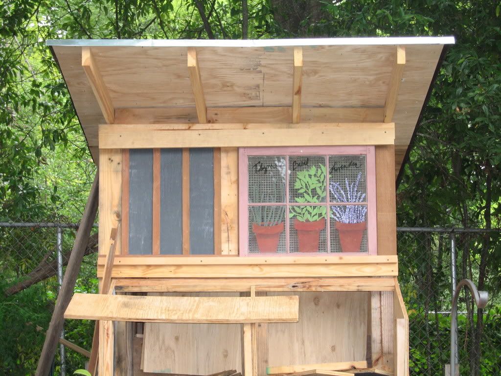 finishingupcoop002.jpg