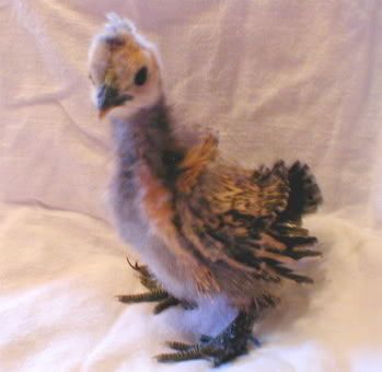 chickfriz.jpg