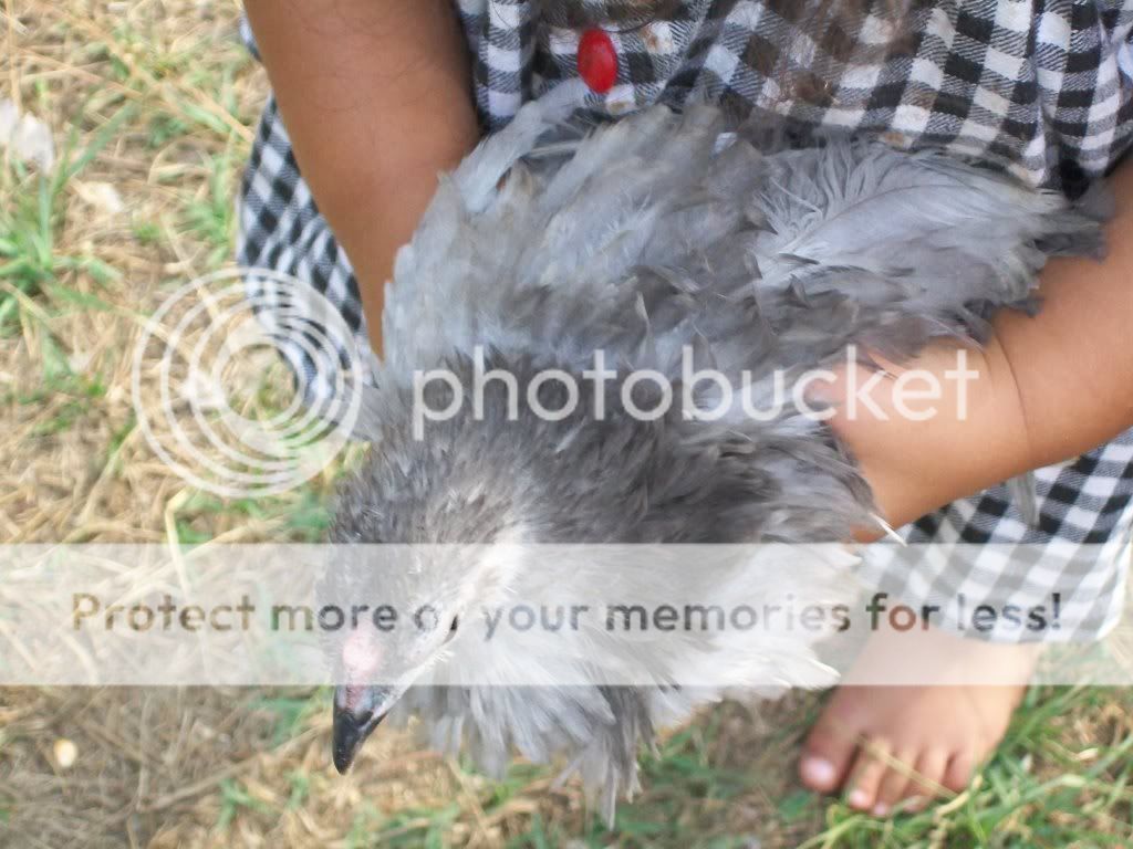 momchick003.jpg