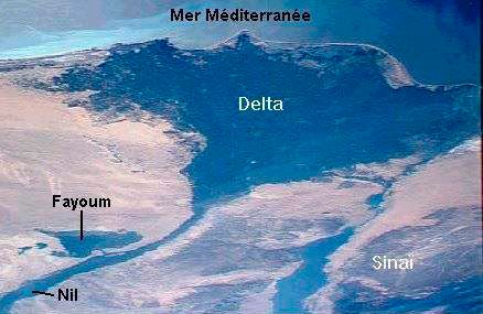 Fayoumscalesize.jpg