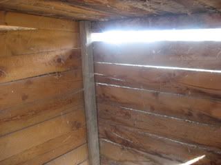 chickencoop005.jpg