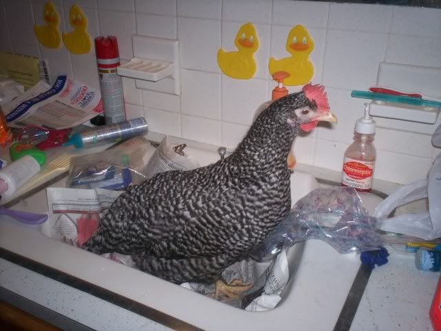 100_0715.jpg