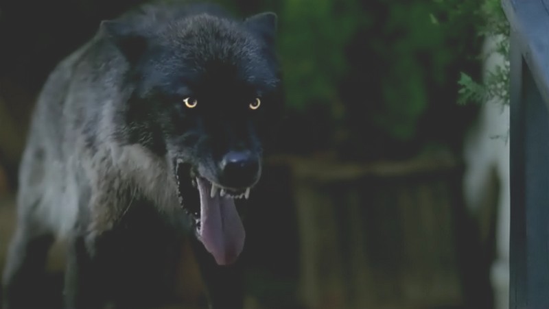 true_blood_season_four_episide_twelve_077.jpg