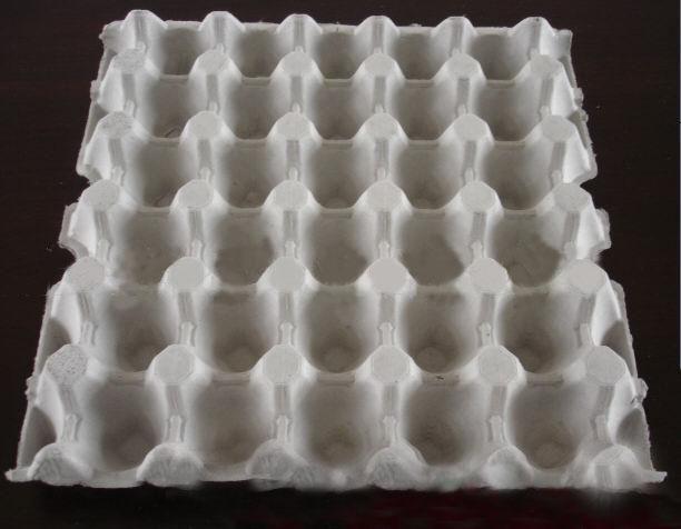 Paper_Egg_Tray_Egg_Carton.jpg