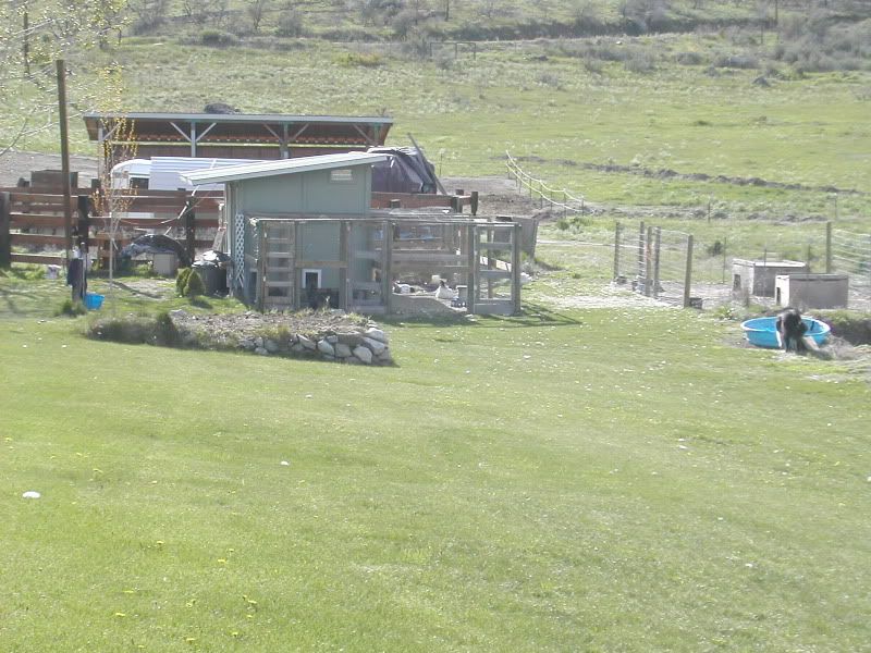 DSCN4231.jpg