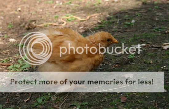 IMG_7608-border.jpg