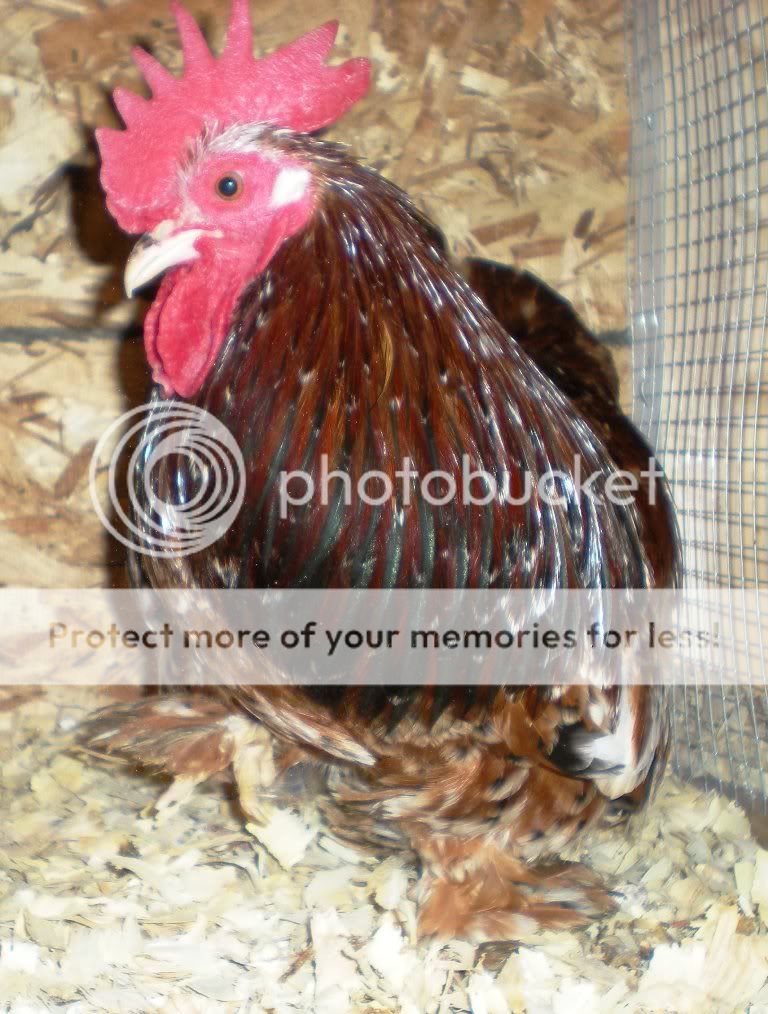 DSCN5663.jpg