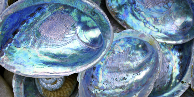 n-ABALONE-628x314.jpg