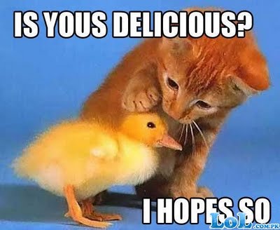 Funny-Duck-2.jpg