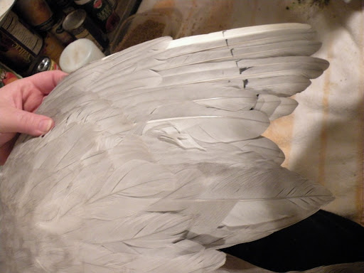 DSCN5595.JPG