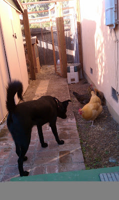 IMAG0375.jpg