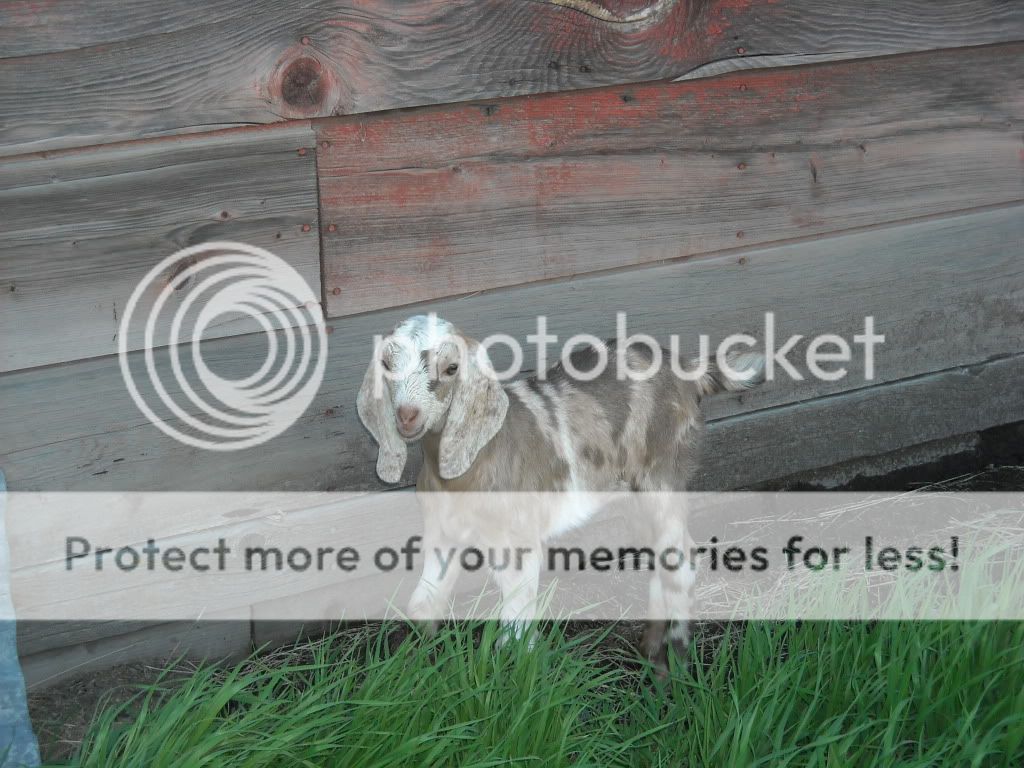 PNW030.jpg