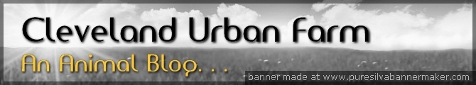 Header_2.jpg