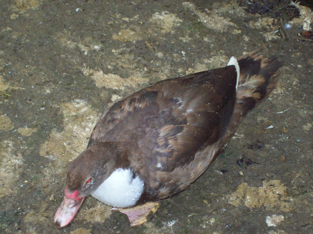 100_4746.JPG