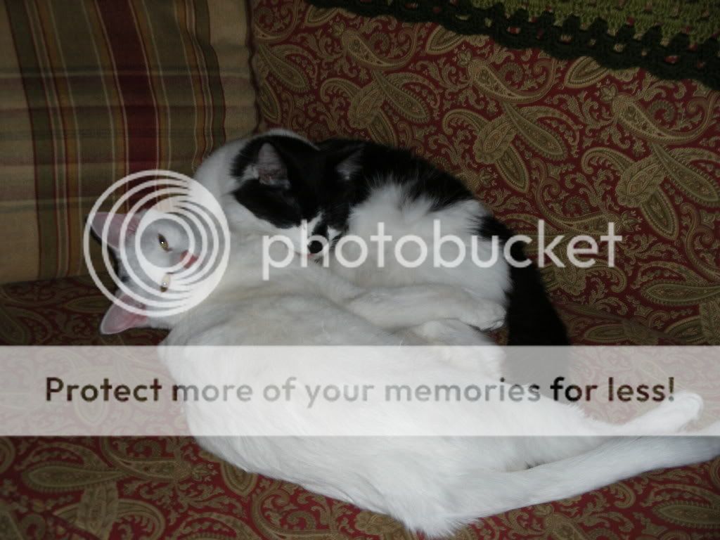 2008_11230069.jpg