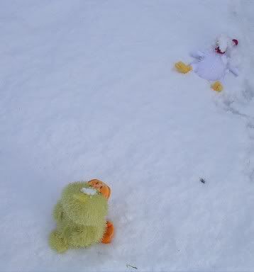 Snow3-1.jpg