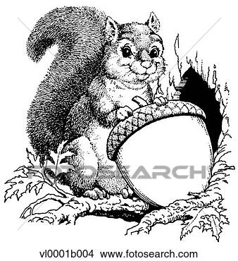 squirrel-acorn_~vl0001b004.jpg