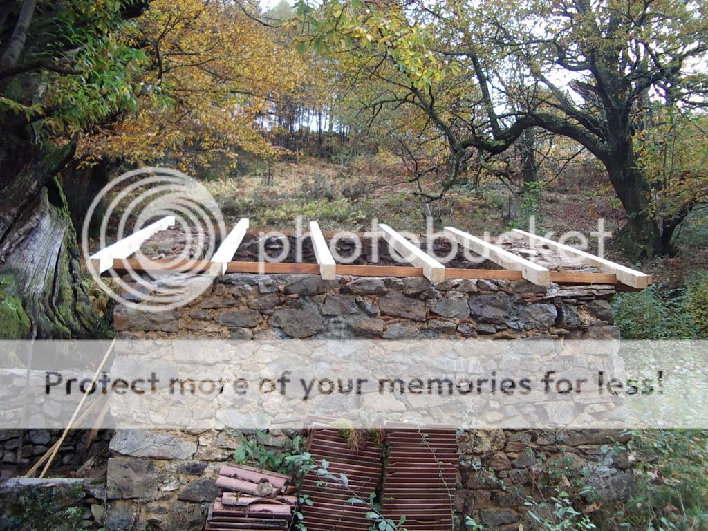IMGP2612.jpg