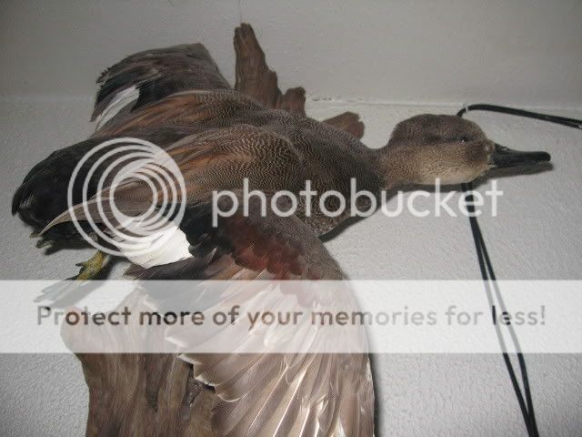 IMG_6025.jpg