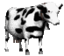 animatedcow-5.gif