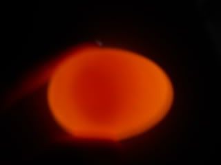 DSCN0605.jpg