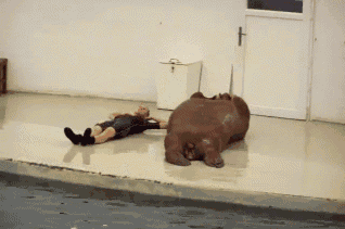 tumblr_lrbjwlweSo1qdex31.gif
