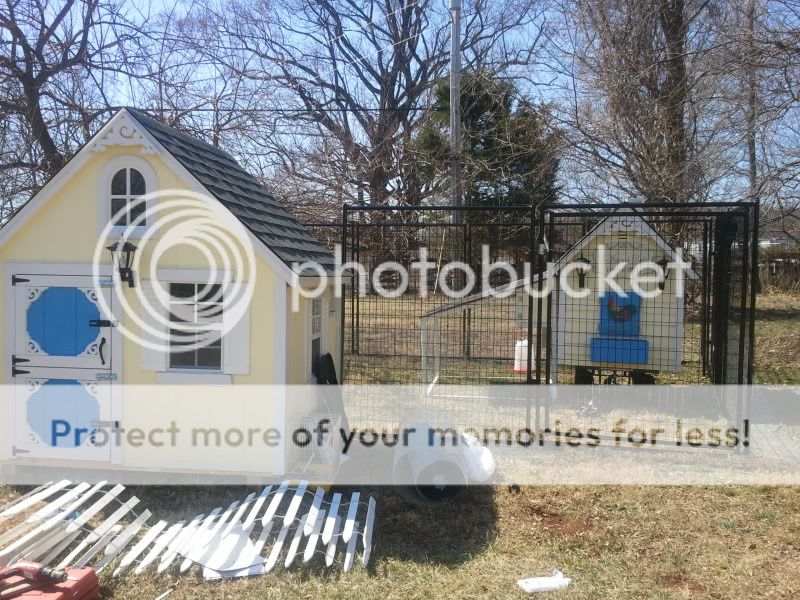 2011-03-13123640.jpg
