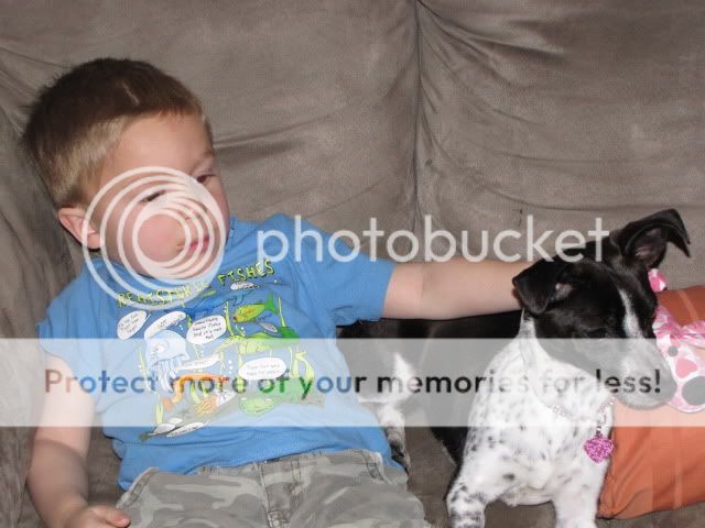 IMG_0032.jpg
