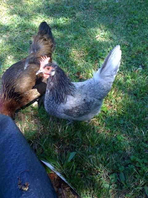 photo-159.jpg