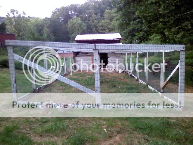 Chickhouse2-1.jpg