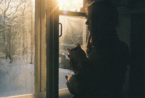 tumblr_lzuuvy2V6W1qfucyzo1_500.jpg