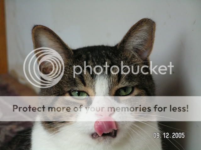 PICT0635.jpg