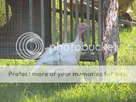 100_5628.jpg