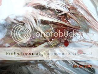 DSCN3910.jpg