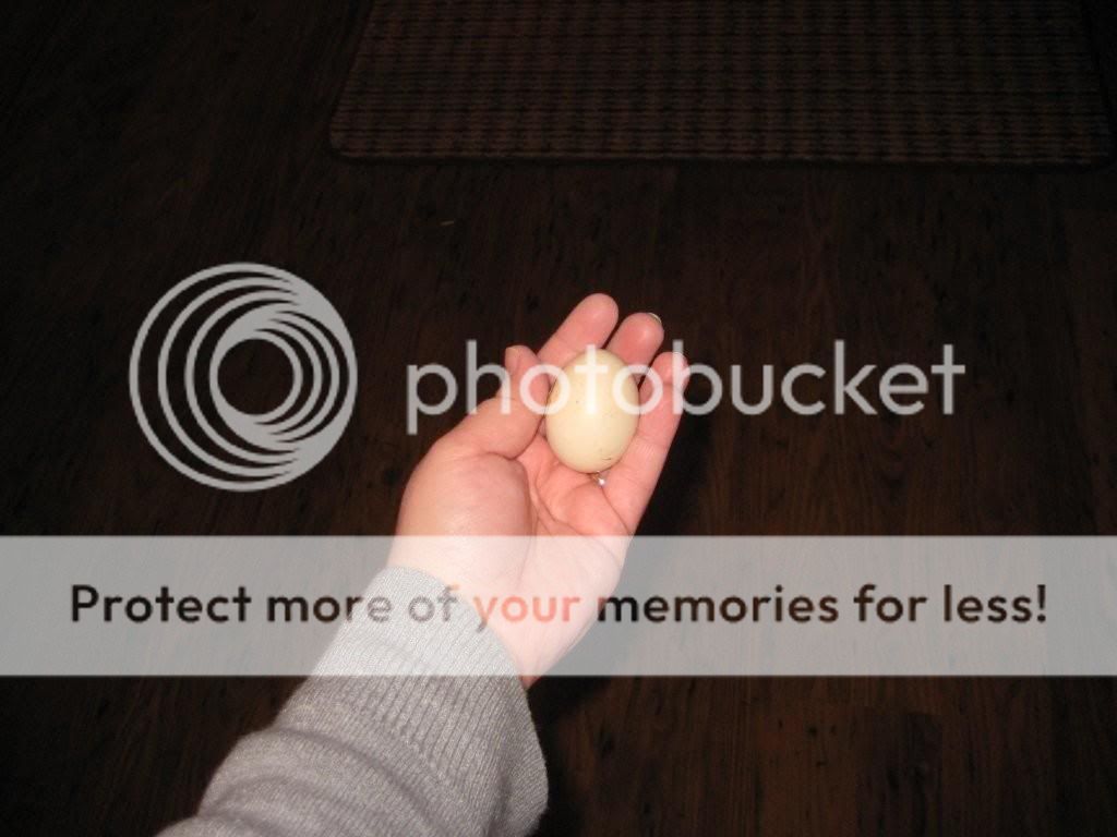 IMG_2634.jpg