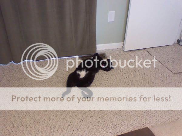 norman_0414009_04.jpg