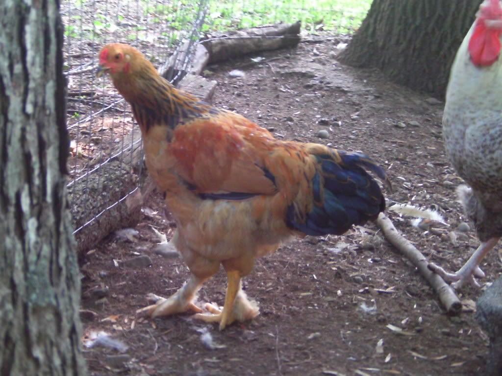 IMAG0030.jpg