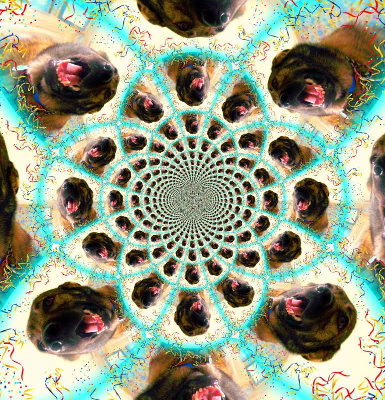 holly0111a.jpg