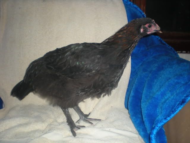 DSCN1567.jpg