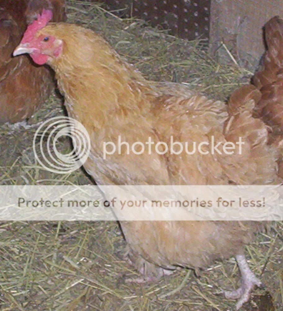 100_5161.jpg