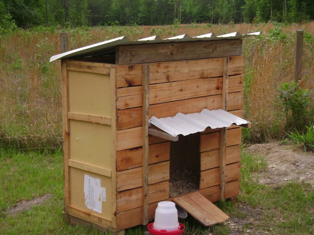 Duck House Made From An Old Shipping Crate Backyard Chickens