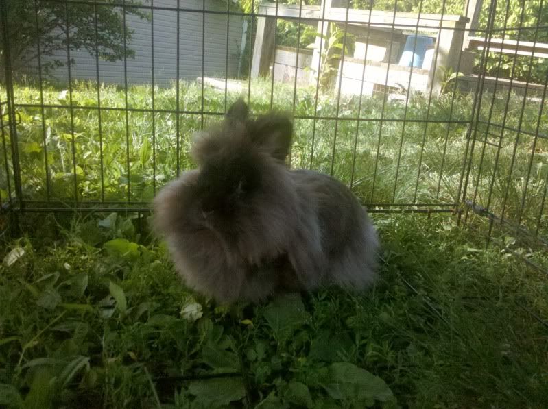 2011-05-29_18-15-42_601.jpg