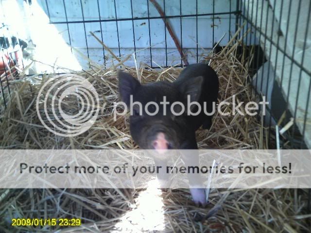PICT0072.jpg