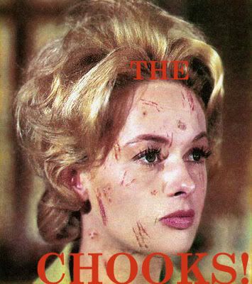 TheChooks.jpg