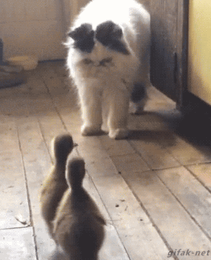 tumblr_nnrg9bZcVk1s2yegdo1_400.gif