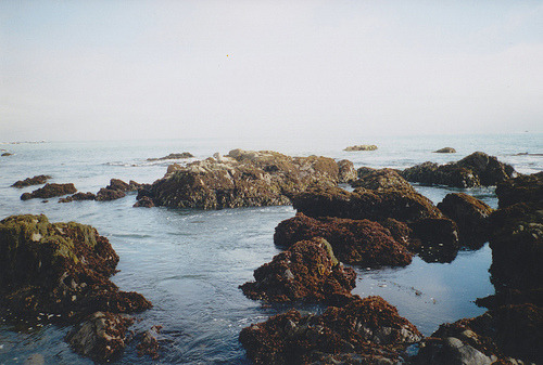 tumblr_m05m0veDly1qbjqato1_500.jpg