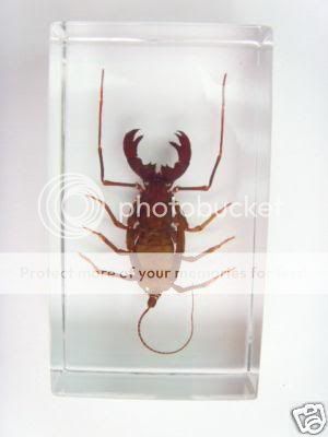 lucite.jpg