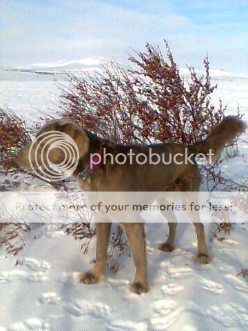 Image002.jpg