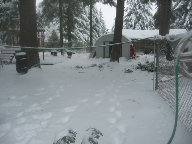 100_0003.jpg
