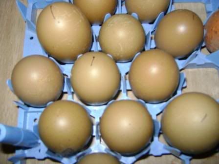 oliveeggs91.jpg